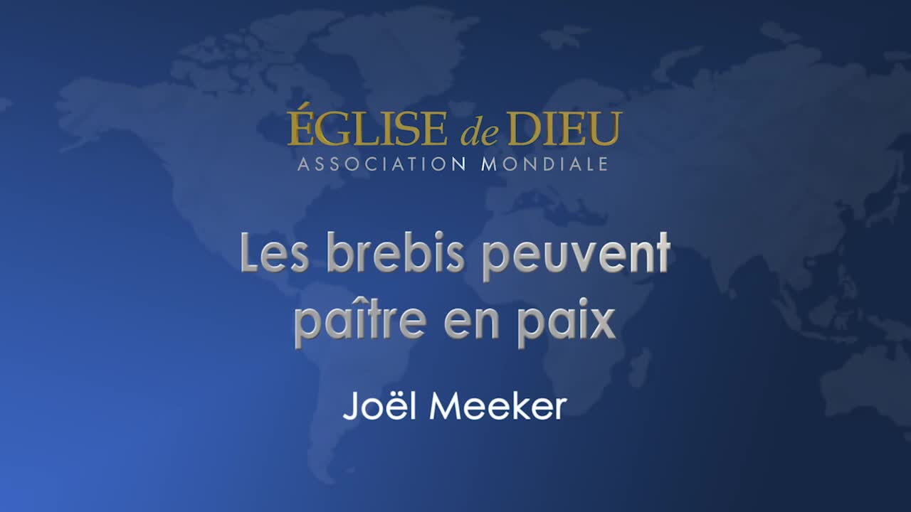 Les brebis peuvent paitre en paix (Soiree inagurale) OLD