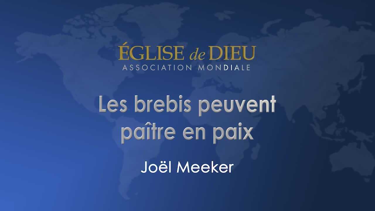 Les brebis peuvent paitre en paix (Soiree inagurale)